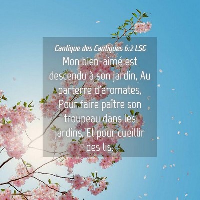 Picture 04 - Cantique des Cantiques 6:2 LSG - Mon bien-aimé est descendu à son jardin, Au - Bible Verse Picture