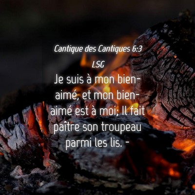 Picture 04 - Cantique des Cantiques 6:3 LSG - Je suis à mon bien-aimé, et mon bien-aimé est - Bible Verse Picture