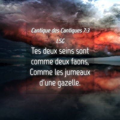 Picture 04 - Cantique des Cantiques 7:3 LSG - Tes deux seins sont comme deux faons, Comme les - Bible Verse Picture