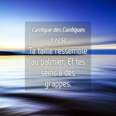 Picture 04 - Cantique des Cantiques 7:7 LSG - Ta taille ressemble au palmier, Et tes seins à - Bible Verse Picture