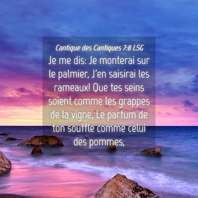 Picture 04 - Cantique des Cantiques 7:8 LSG - Je me dis: Je monterai sur le palmier, J'en - Bible Verse Picture