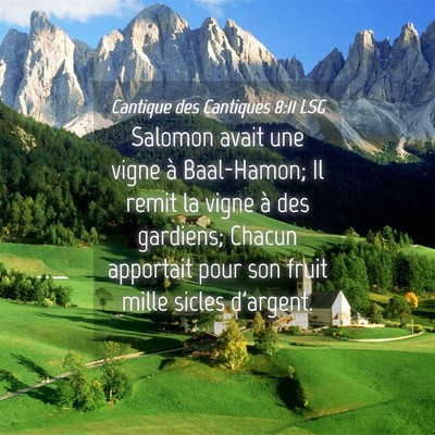 Picture 04 - Cantique des Cantiques 8:11 LSG - Salomon avait une vigne à Baal-Hamon; Il remit - Bible Verse Picture