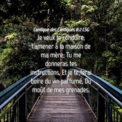 Picture 04 - Cantique des Cantiques 8:2 LSG - Je veux te conduire, t'amener à la maison de ma - Bible Verse Picture