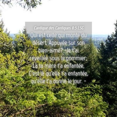 Picture 04 - Cantique des Cantiques 8:5 LSG - Qui est celle qui monte du désert, Appuyée sur - Bible Verse Picture