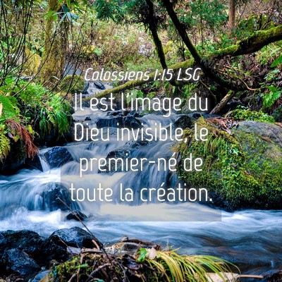 Picture 04 - Colossiens 1:15 LSG - Il est l'image du Dieu invisible, le premier-né - Bible Verse Picture
