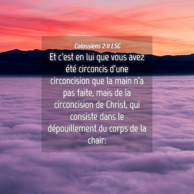 Picture 04 - Colossiens 2:11 LSG - Et c'est en lui que vous avez été circoncis - Bible Verse Picture