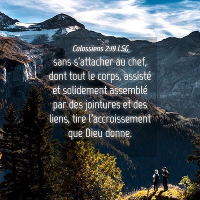 Picture 04 - Colossiens 2:19 LSG - sans s'attacher au chef, dont tout le corps, - Bible Verse Picture