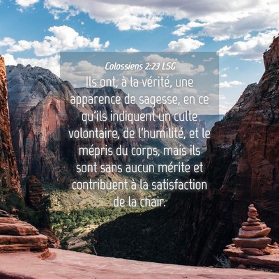 Picture 04 - Colossiens 2:23 LSG - Ils ont, à la vérité, une apparence de - Bible Verse Picture