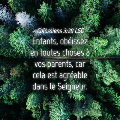 Picture 04 - Colossiens 3:20 LSG - Enfants, obéissez en toutes choses à vos - Bible Verse Picture