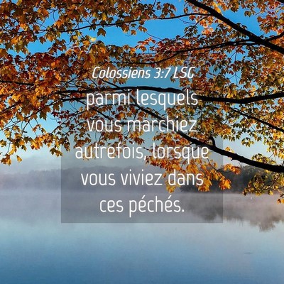 Picture 04 - Colossiens 3:7 LSG - parmi lesquels vous marchiez autrefois, lorsque - Bible Verse Picture