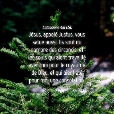 Picture 04 - Colossiens 4:11 LSG - Jésus, appelé Justus, vous salue aussi. Ils - Bible Verse Picture