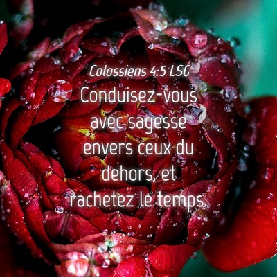 Picture 04 - Colossiens 4:5 LSG - Conduisez-vous avec sagesse envers ceux du - Bible Verse Picture