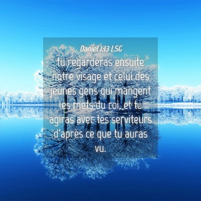 Picture 04 - Daniel 1:13 LSG - tu regarderas ensuite notre visage et celui des - Bible Verse Picture