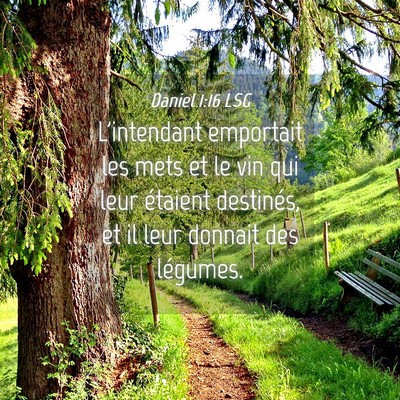 Picture 04 - Daniel 1:16 LSG - L'intendant emportait les mets et le vin qui leur - Bible Verse Picture