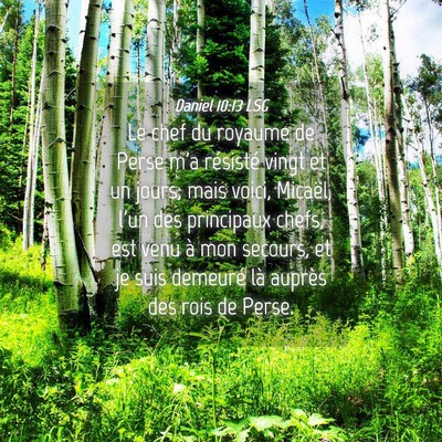 Picture 04 - Daniel 10:13 LSG - Le chef du royaume de Perse m'a résisté vingt - Bible Verse Picture