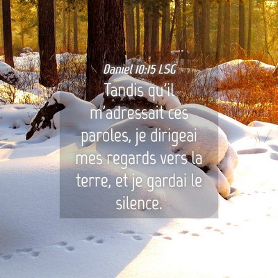 Picture 04 - Daniel 10:15 LSG - Tandis qu'il m'adressait ces paroles, je dirigeai - Bible Verse Picture