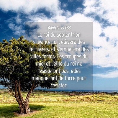 Picture 04 - Daniel 11:15 LSG - Le roi du septentrion s'avancera, il élèvera - Bible Verse Picture