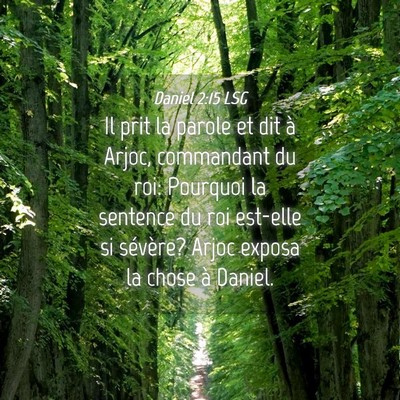 Picture 04 - Daniel 2:15 LSG - Il prit la parole et dit à Arjoc, commandant du - Bible Verse Picture