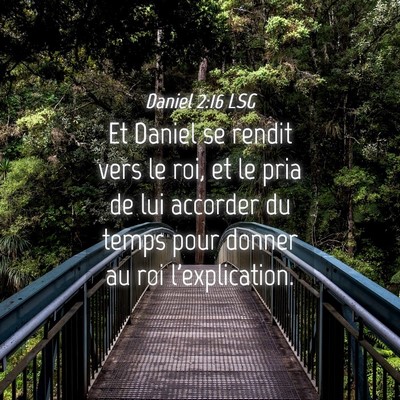 Picture 04 - Daniel 2:16 LSG - Et Daniel se rendit vers le roi, et le pria de - Bible Verse Picture
