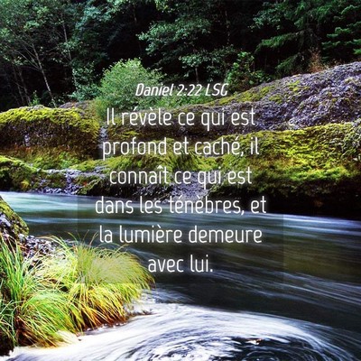 Picture 04 - Daniel 2:22 LSG - Il révèle ce qui est profond et caché, il - Bible Verse Picture