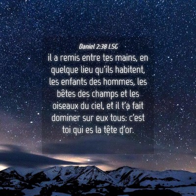 Picture 04 - Daniel 2:38 LSG - il a remis entre tes mains, en quelque lieu - Bible Verse Picture