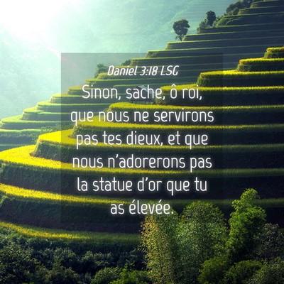 Picture 04 - Daniel 3:18 LSG - Sinon, sache, ô roi, que nous ne servirons pas - Bible Verse Picture