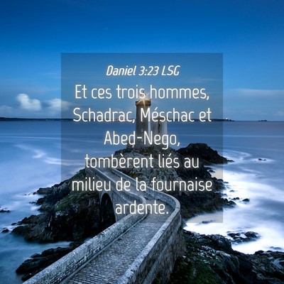 Picture 04 - Daniel 3:23 LSG - Et ces trois hommes, Schadrac, Méschac et - Bible Verse Picture