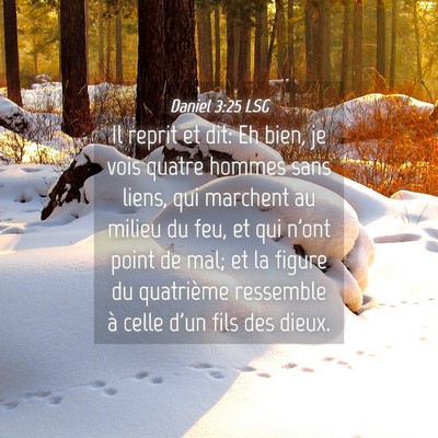 Picture 04 - Daniel 3:25 LSG - Il reprit et dit: Eh bien, je vois quatre hommes - Bible Verse Picture