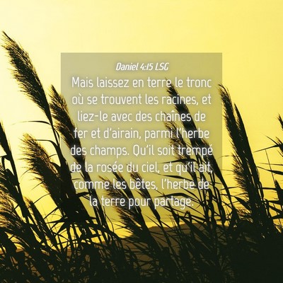 Picture 04 - Daniel 4:15 LSG - Mais laissez en terre le tronc où se trouvent - Bible Verse Picture