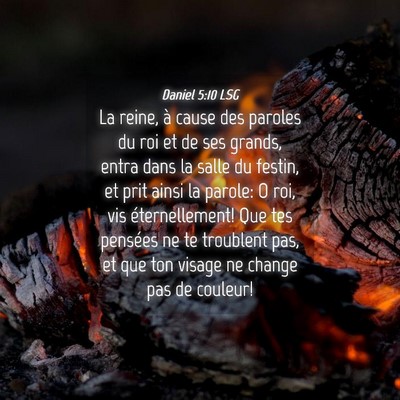 Picture 04 - Daniel 5:10 LSG - La reine, à cause des paroles du roi et de ses - Bible Verse Picture