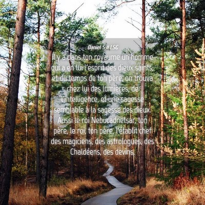 Picture 04 - Daniel 5:11 LSG - Il y a dans ton royaume un homme qui a en lui - Bible Verse Picture