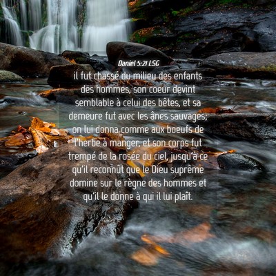 Picture 04 - Daniel 5:21 LSG - il fut chassé du milieu des enfants des hommes, - Bible Verse Picture