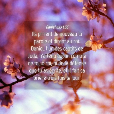 Picture 04 - Daniel 6:13 LSG - Ils prirent de nouveau la parole et dirent au - Bible Verse Picture