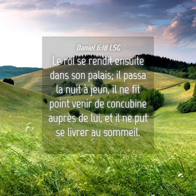 Picture 04 - Daniel 6:18 LSG - Le roi se rendit ensuite dans son palais; il - Bible Verse Picture