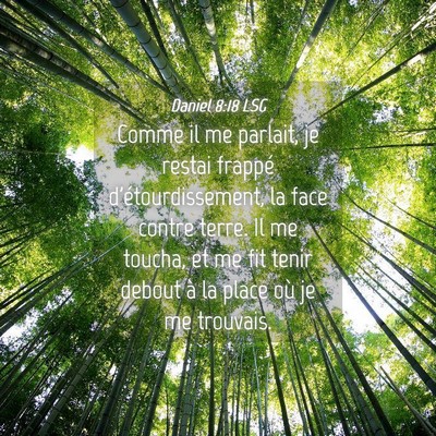 Picture 04 - Daniel 8:18 LSG - Comme il me parlait, je restai frappé - Bible Verse Picture
