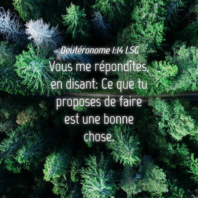 Picture 04 - Deutéronome 1:14 LSG - Vous me répondîtes, en disant: Ce que tu - Bible Verse Picture