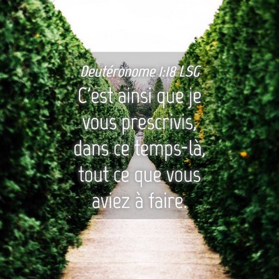 Picture 04 - Deutéronome 1:18 LSG - C'est ainsi que je vous prescrivis, dans ce - Bible Verse Picture
