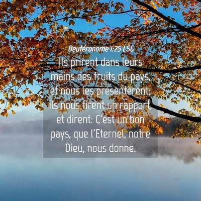 Picture 04 - Deutéronome 1:25 LSG - Ils prirent dans leurs mains des fruits du pays, - Bible Verse Picture