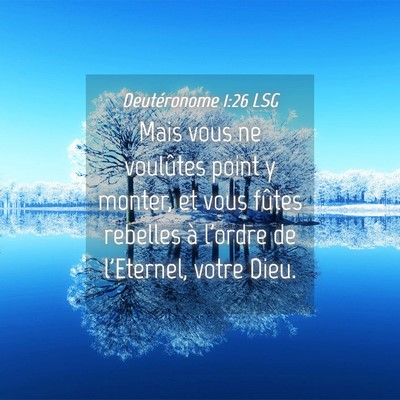 Picture 04 - Deutéronome 1:26 LSG - Mais vous ne voulûtes point y monter, et vous - Bible Verse Picture