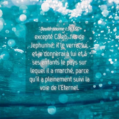 Picture 04 - Deutéronome 1:36 LSG - excepté Caleb, fils de Jephunné; il le verra, - Bible Verse Picture
