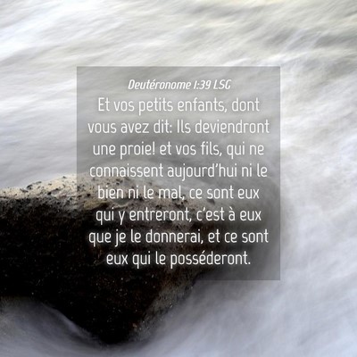 Picture 04 - Deutéronome 1:39 LSG - Et vos petits enfants, dont vous avez dit: Ils - Bible Verse Picture