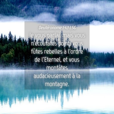 Picture 04 - Deutéronome 1:43 LSG - Je vous parlai, mais vous n'écoutâtes point; - Bible Verse Picture