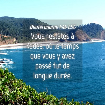 Picture 04 - Deutéronome 1:46 LSG - Vous restâtes à Kadès, où le temps que vous y - Bible Verse Picture