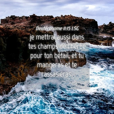 Picture 04 - Deutéronome 11:15 LSG - je mettrai aussi dans tes champs de l'herbe pour - Bible Verse Picture