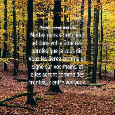 Picture 04 - Deutéronome 11:18 LSG - Mettez dans votre coeur et dans votre âme ces - Bible Verse Picture
