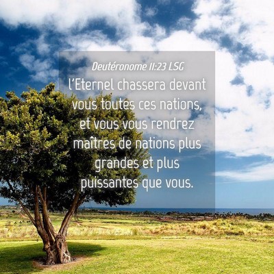 Picture 04 - Deutéronome 11:23 LSG - l'Eternel chassera devant vous toutes ces - Bible Verse Picture