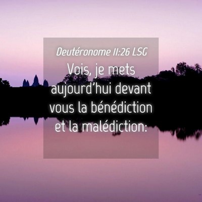 Picture 04 - Deutéronome 11:26 LSG - Vois, je mets aujourd'hui devant vous la - Bible Verse Picture