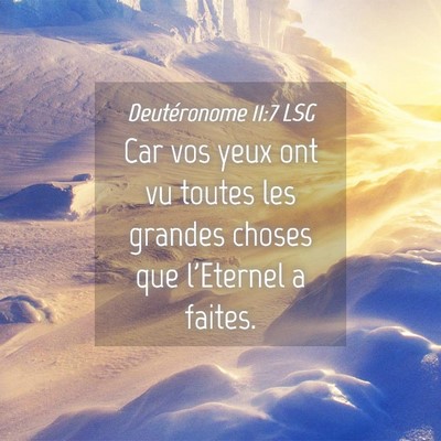 Picture 04 - Deutéronome 11:7 LSG - Car vos yeux ont vu toutes les grandes choses que - Bible Verse Picture