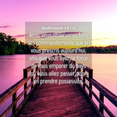 Picture 04 - Deutéronome 11:8 LSG - Ainsi, vous observerez tous les commandements que - Bible Verse Picture
