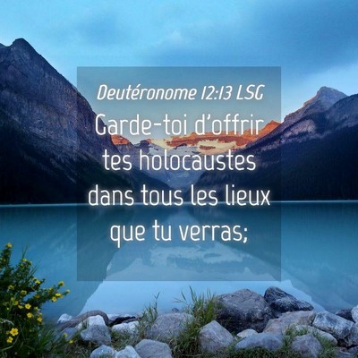 Picture 04 - Deutéronome 12:13 LSG - Garde-toi d'offrir tes holocaustes dans tous les - Bible Verse Picture